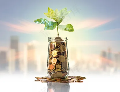 金币嫩芽小树苗孵化培育理财商务金融财富主题素材 金币嫩芽小树苗孵化培育理财商务金融财富主题素材