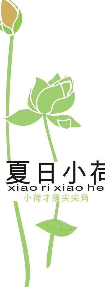 荷花图片cdr矢量模版下载