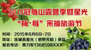 杨梅 蓝莓采摘旅游节
