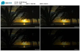 唯美黄昏海边椰子树实拍视频素材