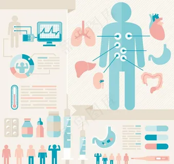 人体解剖信息图表图片