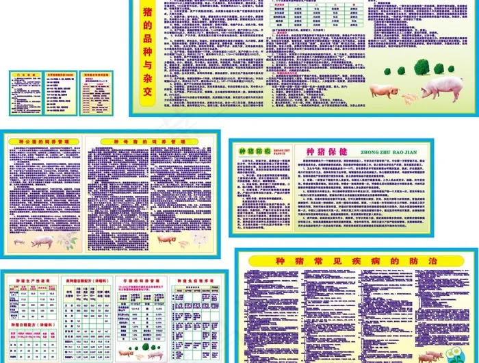 养猪厂制度图片cdr矢量模版下载