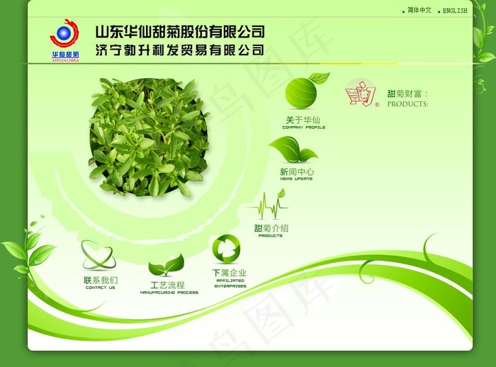 甜菊公司网站效果图图片psd模版下载