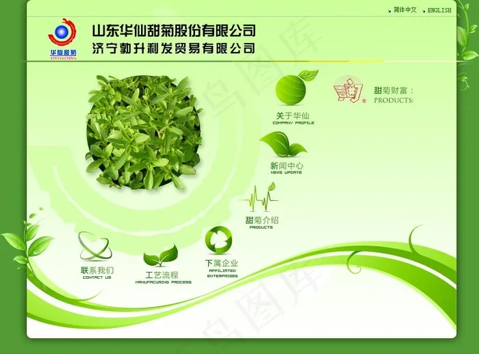 甜菊公司网站效果图图片