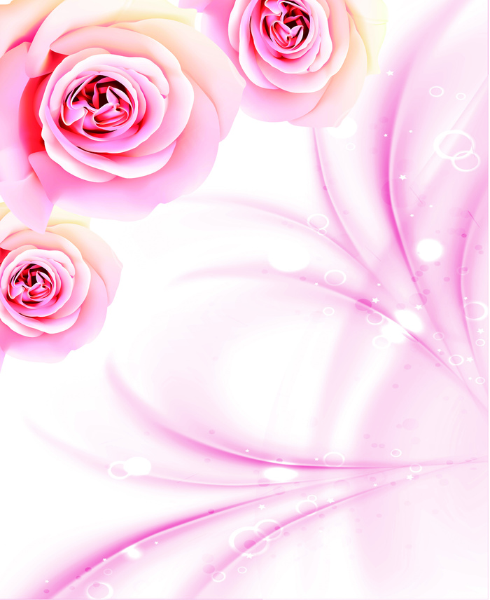 粉色玫瑰 180x220