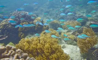 沙巴海景风光图片