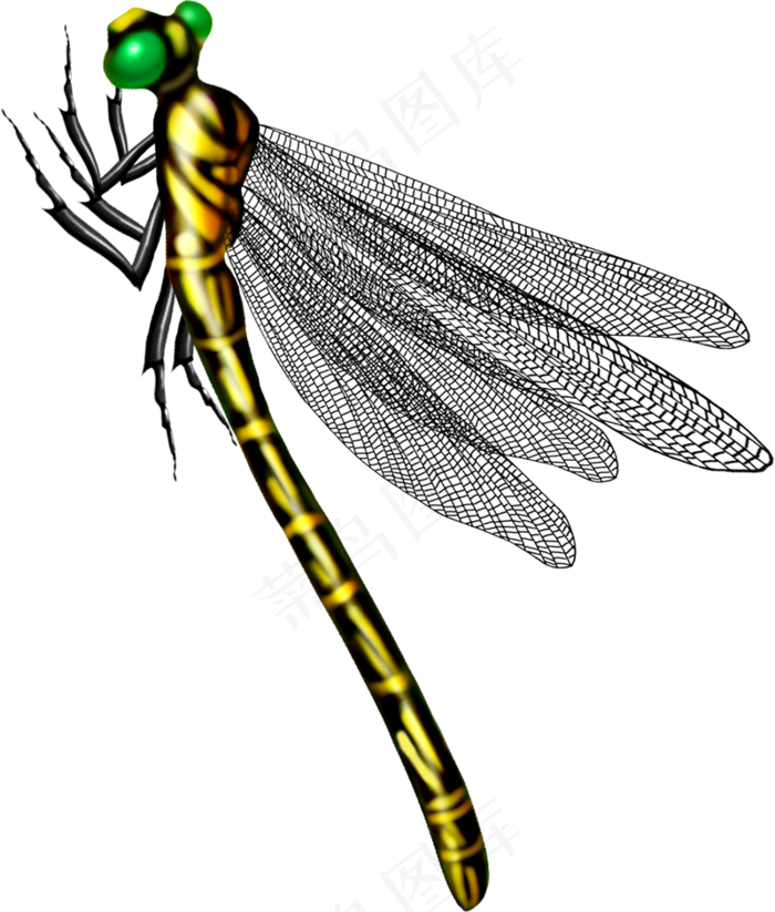 免抠png图片ps素材蜻蜓