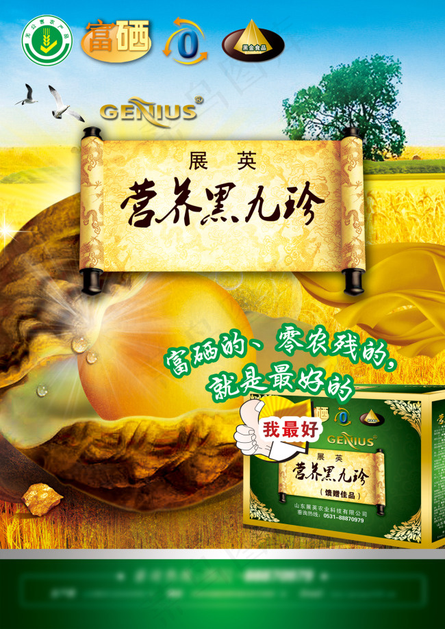 山东展英农业黑九珍海报(2480X3508(DPI:300))psd模版下载