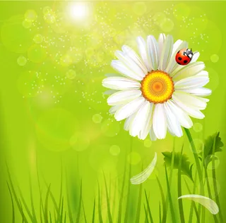 矢量春天花朵飘虫背景素材