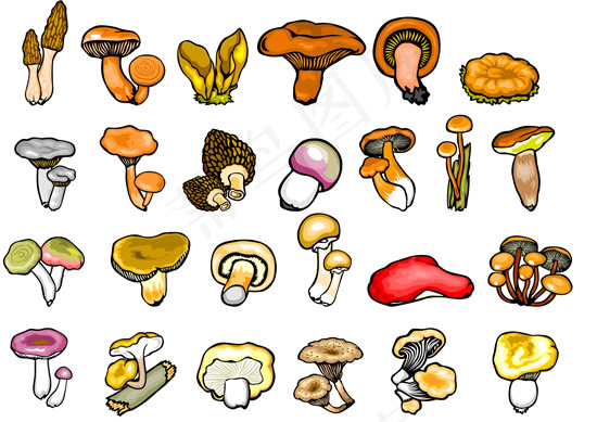 蘑菇香菇草菇矢量图