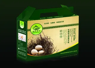 弘扬中华美食文化纯正自然营养健康鸽子蛋