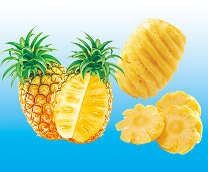 菠萝素材