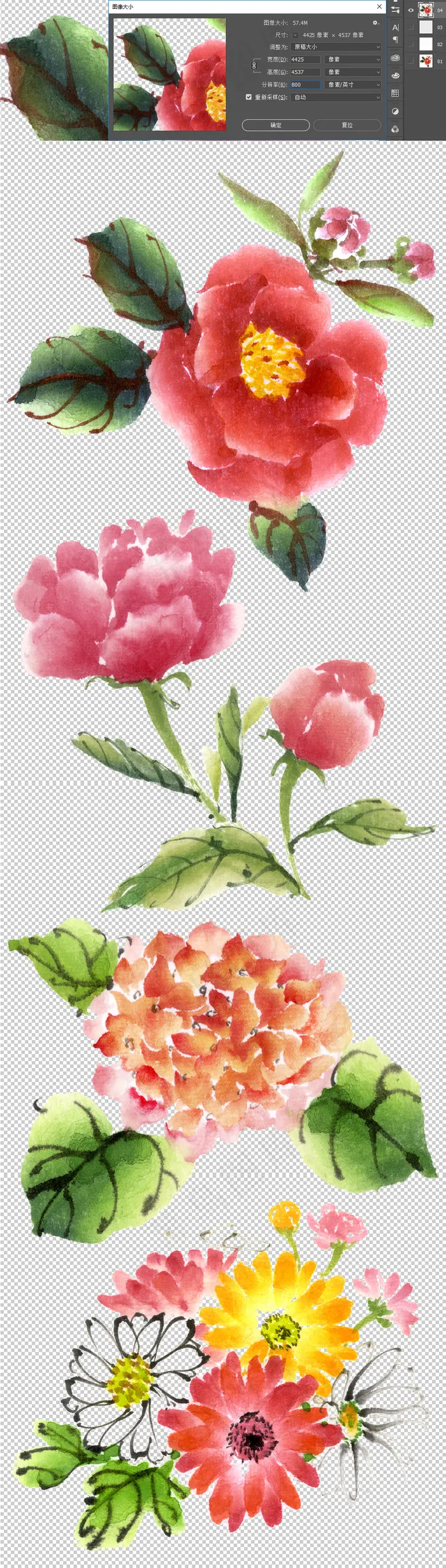 中国风手绘水彩花卉元素免扣图片(4590X3972(DPI:800))psd模版下载