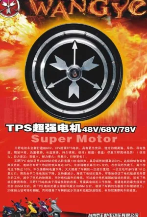 王野电动车电机图片