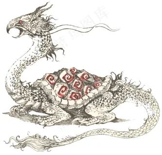 怪兽亀 怪兽亀
