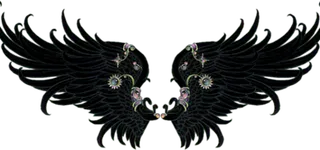 黑色翅膀电商美工视觉设计免扣元素