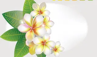 绿色植物矢量素材