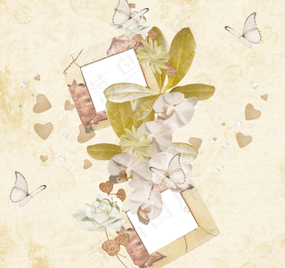 花朵蝴蝶相框相片背景设计图片