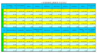 大学年度财务收支简要表