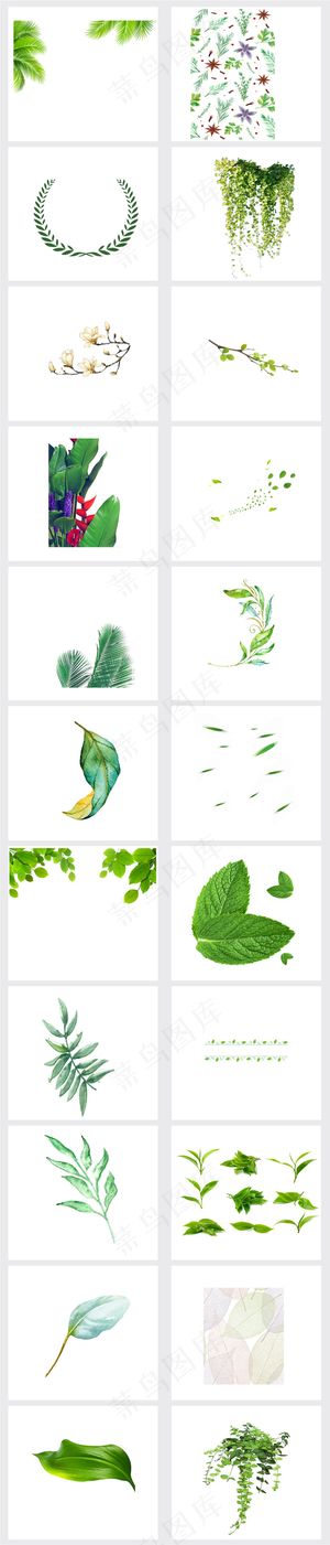 春天绿色绿叶树叶春天设计素材