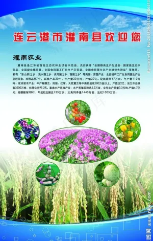 连云港农业展板图片