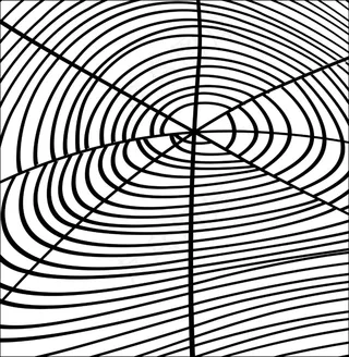 复古蜘蛛网设计