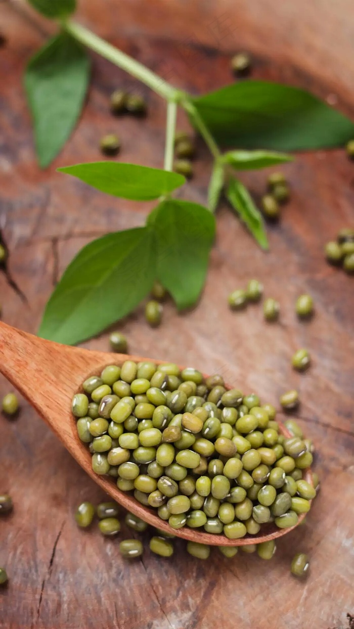 绿豆高清摄影图片