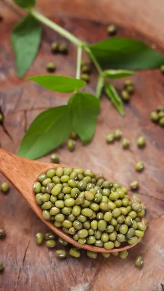 绿豆高清摄影图片