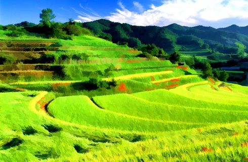 风景装饰画图片