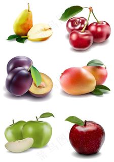 逼真手绘水果矢量素材