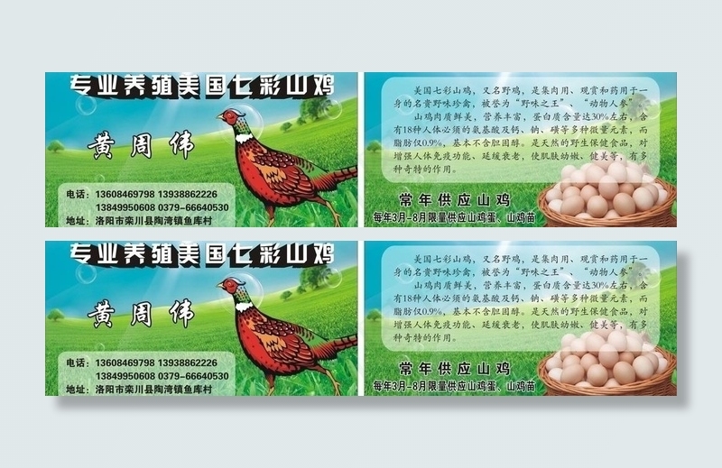 名片图片cdr矢量模版下载