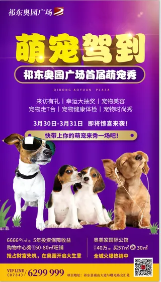 萌宠驾到  海报   狗