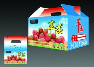 草莓包装盒 (平面图无效果图)图片