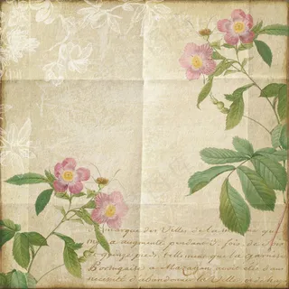 复古纸张花卉背景图片