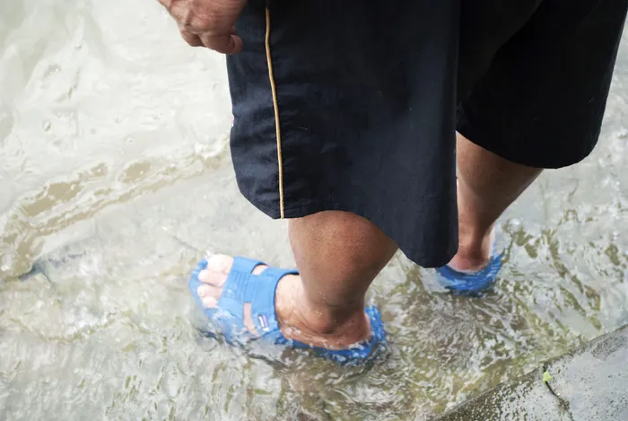 龙舟比赛河边观众图片