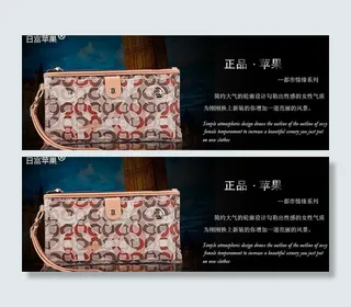 手拿包海报图片