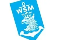 WSM格丁尼亚eps,ai矢量模版下载