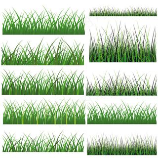 向量元素集05绿草