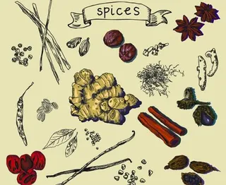 手绘香料创意矢量素材
