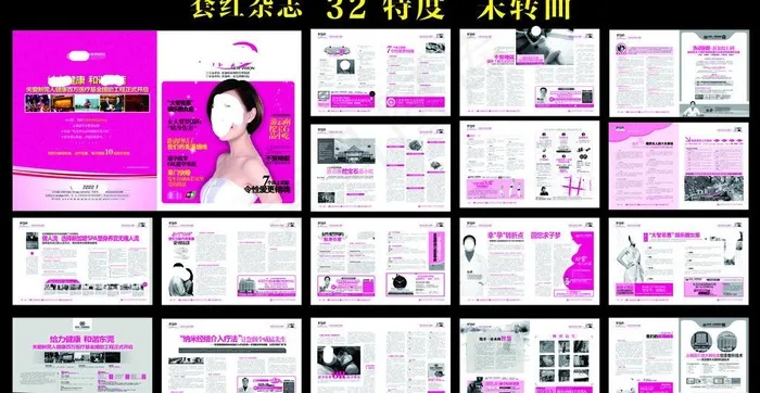 套红杂志(426X266)cdr矢量模版下载