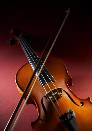 大提琴图片