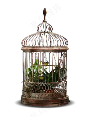 卡通可爱复古抽象鸟笼合集素材