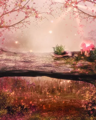 奇幻唯美场景插画