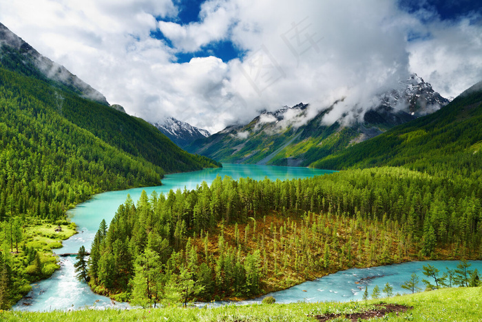 美丽湖泊树林风景