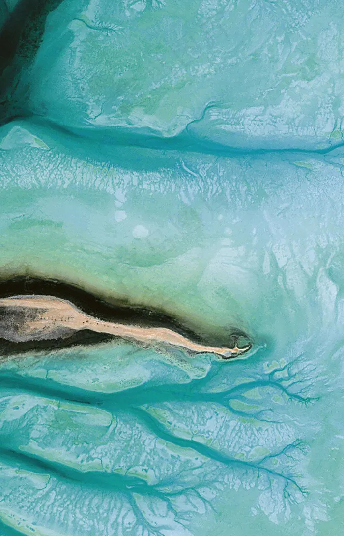 现代清新绿色简约抽象背景墙装饰画