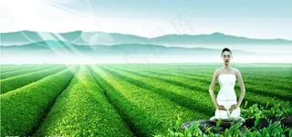 禅意茶叶广告图片