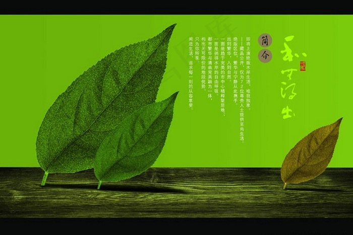 树叶封面画册设计PSD素材psd模版下载