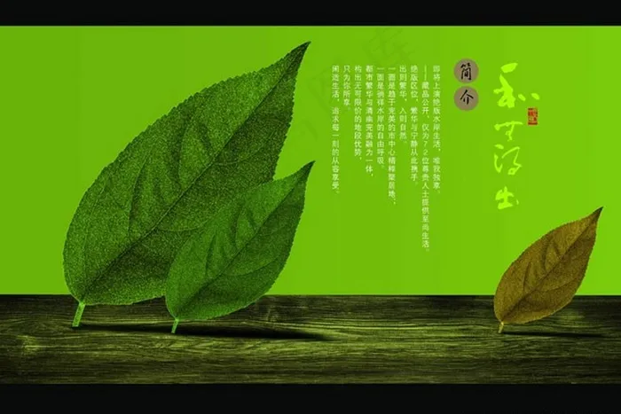 树叶封面画册设计PSD素材psd模版下载