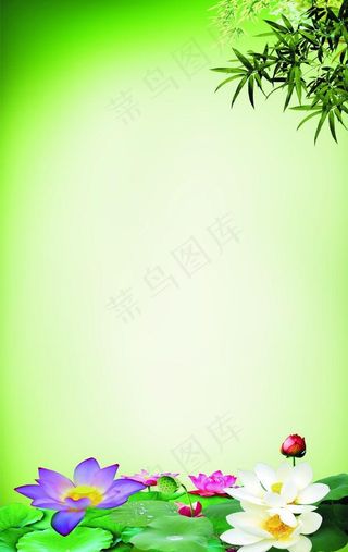 荷花底图图片