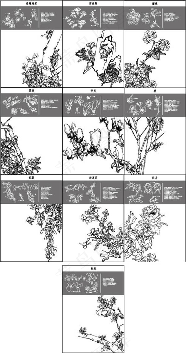 素描花纹花束矢量素材ai矢量模版下载